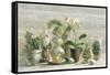 Greenhouse Orchids on Wood v2-Danhui Nai-Framed Stretched Canvas