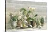 Greenhouse Orchids on Wood v2-Danhui Nai-Stretched Canvas