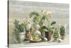 Greenhouse Orchids on Wood v2-Danhui Nai-Stretched Canvas