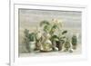 Greenhouse Orchids on Wood v2-Danhui Nai-Framed Art Print