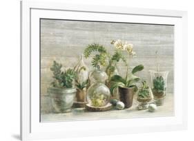 Greenhouse Orchids on Wood v2-Danhui Nai-Framed Art Print