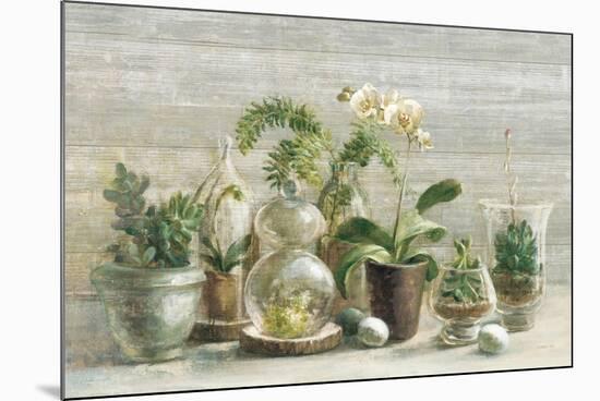 Greenhouse Orchids on Wood v2-Danhui Nai-Mounted Art Print