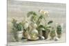 Greenhouse Orchids on Wood v2-Danhui Nai-Mounted Art Print