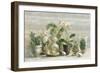 Greenhouse Orchids on Wood v2-Danhui Nai-Framed Art Print