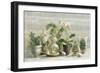 Greenhouse Orchids on Wood v2-Danhui Nai-Framed Art Print