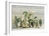 Greenhouse Orchids on Wood v2-Danhui Nai-Framed Art Print