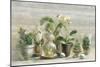 Greenhouse Orchids on Wood v2-Danhui Nai-Mounted Art Print