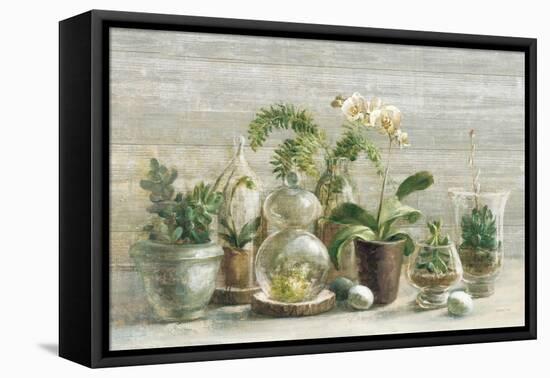 Greenhouse Orchids on Wood v2-Danhui Nai-Framed Stretched Canvas