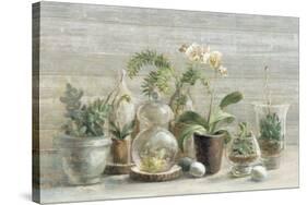 Greenhouse Orchids on Wood-Danhui Nai-Stretched Canvas