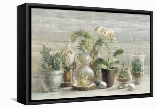 Greenhouse Orchids on Wood-Danhui Nai-Framed Stretched Canvas