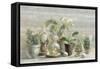 Greenhouse Orchids on Wood-Danhui Nai-Framed Stretched Canvas