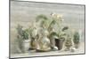 Greenhouse Orchids on Wood-Danhui Nai-Mounted Art Print