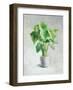 Greenhouse Palm I-Danhui Nai-Framed Art Print