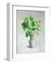 Greenhouse Palm I-Danhui Nai-Framed Art Print