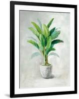 Greenhouse Palm II-Danhui Nai-Framed Art Print