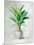 Greenhouse Palm II-Danhui Nai-Mounted Art Print