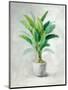 Greenhouse Palm II-Danhui Nai-Mounted Art Print