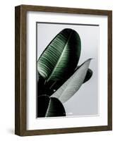 Greenish-PhotoINC Studio-Framed Art Print