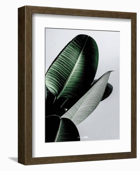 Greenish-PhotoINC Studio-Framed Art Print