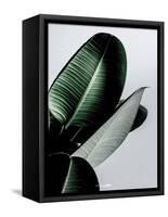 Greenish-PhotoINC Studio-Framed Stretched Canvas