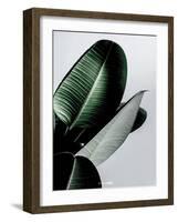Greenish-PhotoINC Studio-Framed Art Print