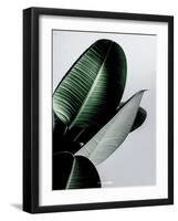 Greenish-PhotoINC Studio-Framed Art Print