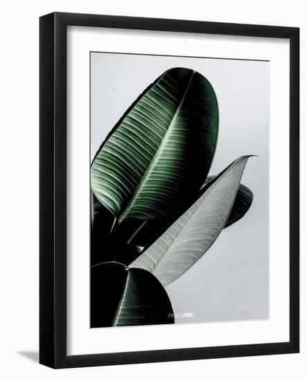 Greenish-PhotoINC Studio-Framed Art Print