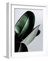 Greenish-PhotoINC Studio-Framed Art Print