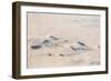 Greenland, Aerial Picture, Glacier and Snowy Mountains-Catharina Lux-Framed Photographic Print