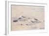 Greenland, Aerial Picture, Glacier and Snowy Mountains-Catharina Lux-Framed Photographic Print