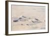 Greenland, Aerial Picture, Glacier and Snowy Mountains-Catharina Lux-Framed Photographic Print