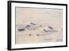 Greenland, Aerial Picture, Glacier and Snowy Mountains-Catharina Lux-Framed Photographic Print