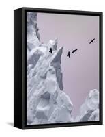 Greenland Birds Flocking-Art Wolfe-Framed Stretched Canvas