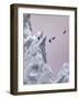 Greenland Birds Flocking-Art Wolfe-Framed Photographic Print