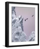 Greenland Birds Flocking-Art Wolfe-Framed Photographic Print