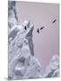 Greenland Birds Flocking-Art Wolfe-Mounted Photographic Print