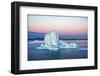 Greenland, Discovery Bay, (Disko Bay) floating icebergs from the Ilulissat Kangerlua Glacier also k-Miva Stock-Framed Photographic Print