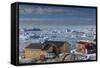 Greenland, Disko Bay, Ilulissat, Elevated Town View with Floating Ice-Walter Bibikow-Framed Stretched Canvas