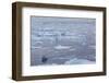 Greenland, Disko Bay, Ilulissat, Elevated View of Floating Ice and Fishing Boat-Walter Bibikow-Framed Photographic Print