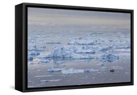 Greenland, Disko Bay, Ilulissat, Elevated View of Floating Ice and Fishing Boat-Walter Bibikow-Framed Stretched Canvas