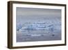 Greenland, Disko Bay, Ilulissat, Elevated View of Floating Ice and Fishing Boat-Walter Bibikow-Framed Photographic Print