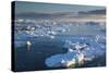 Greenland, Disko Bay, Ilulissat, Elevated View of Floating Ice-Walter Bibikow-Stretched Canvas
