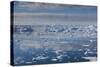 Greenland, Disko Bay, Ilulissat, Elevated View of Floating Ice-Walter Bibikow-Stretched Canvas