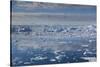 Greenland, Disko Bay, Ilulissat, Elevated View of Floating Ice-Walter Bibikow-Stretched Canvas