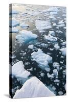 Greenland, Disko Bay, Ilulissat, Floating Ice at Sunset-Walter Bibikow-Stretched Canvas