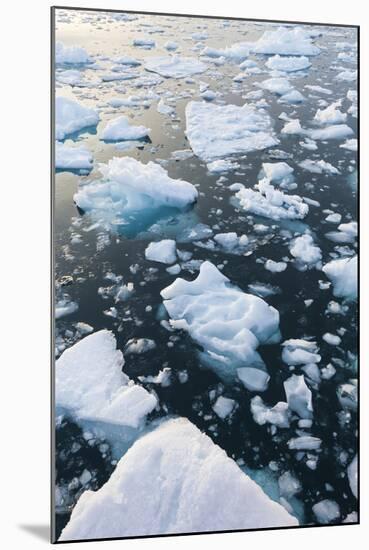 Greenland, Disko Bay, Ilulissat, Floating Ice at Sunset-Walter Bibikow-Mounted Photographic Print