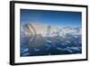 Greenland, Disko Bay, Ilulissat, Floating Ice at Sunset-Walter Bibikow-Framed Photographic Print