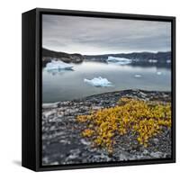 Greenland, Diskobay, Reefs, Sea with Icebergs-Luciano Gaudenzio-Framed Stretched Canvas