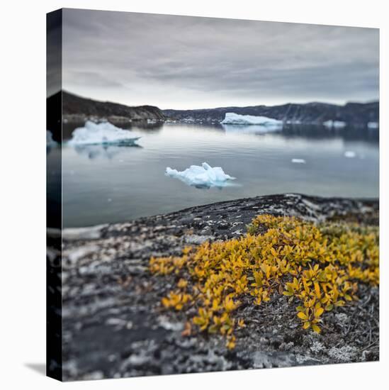 Greenland, Diskobay, Reefs, Sea with Icebergs-Luciano Gaudenzio-Stretched Canvas