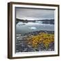 Greenland, Diskobay, Reefs, Sea with Icebergs-Luciano Gaudenzio-Framed Photographic Print